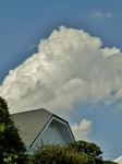 P9130003 (600x800).jpg
