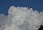 P9130006 (1024x715).jpg