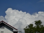 P9130007 (854x641).jpg