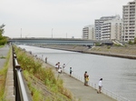 P9130093 (800x597).jpg