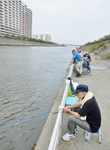 P9130112 (591x800).jpg