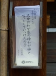 P9170001 (589x800).jpg