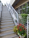 P9190022 (600x800).jpg