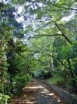 P9230005 (598x800).jpg