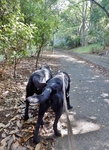 P9230006 (585x800).jpg