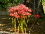 P9230008 (800x600).jpg