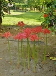 P9230041 (600x800).jpg