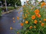 P9250004 (800x600).jpg