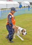 P9270025 (578x800).jpg