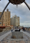 P9270033 (557x800).jpg