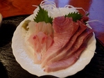 P9270085 (800x600).jpg