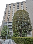 PA010024 (600x800).jpg