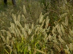 PA020041 (800x600).jpg