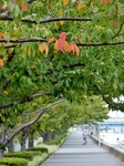 PA020118 (600x800).jpg