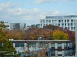 PB040140 (800x600).jpg
