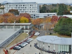 PB040146 (800x600).jpg