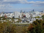 PB040209 (800x600).jpg