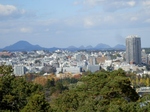 PB040213 (800x600).jpg