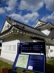 PB040276 (600x800).jpg