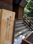 PB060005 (600x800).jpg