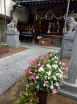 PB060009 (600x800).jpg