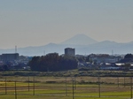 PB130045 (800x600).jpg
