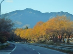 PB130070 (800x588).jpg