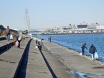 PC070073 (800x600).jpg