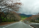 sos 005s.jpg
