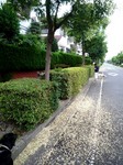 sos 023.jpg