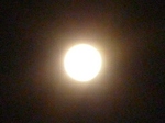 sos 043.jpg
