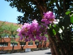 sos 096.jpg