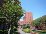 sos 098.jpg