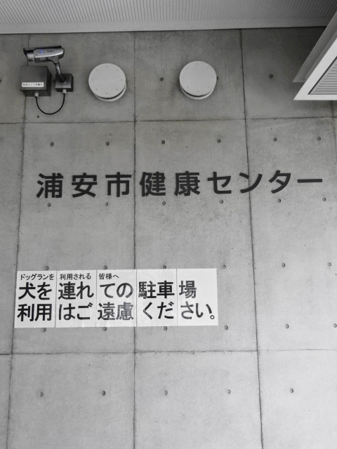 浦安市ゲートキーパー養成講座に参加 富士男 だより