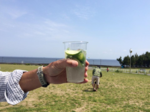 海辺のライブラリー.png